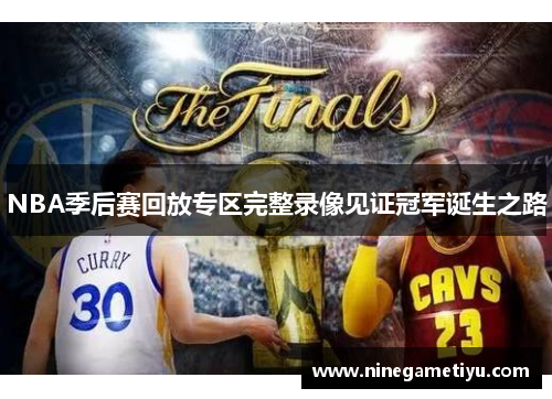 NBA季后赛回放专区完整录像见证冠军诞生之路