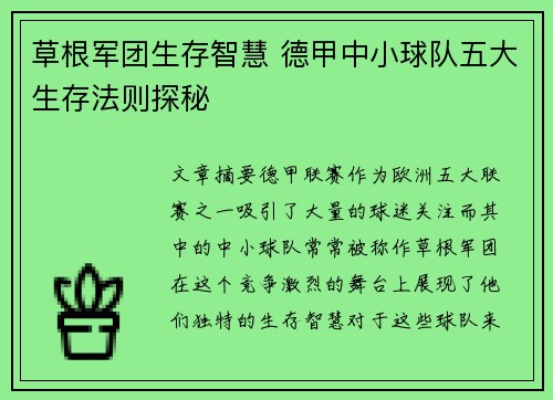 草根军团生存智慧 德甲中小球队五大生存法则探秘